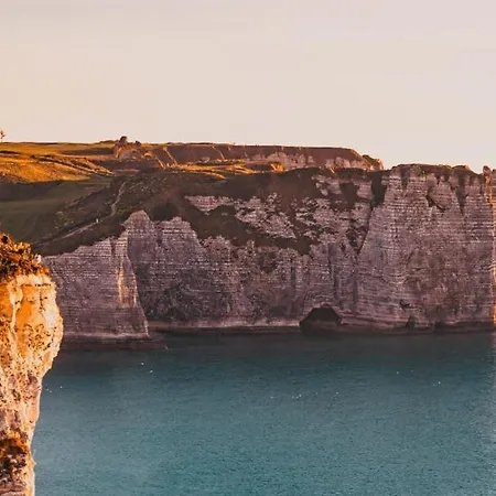 Casa de Férias L'olivier Charmante Maison Avec Parking Et Jardin Canteleu