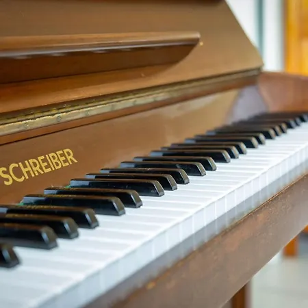 Casa de Férias L'olivier Charmante Maison Avec Parking Et Jardin Canteleu